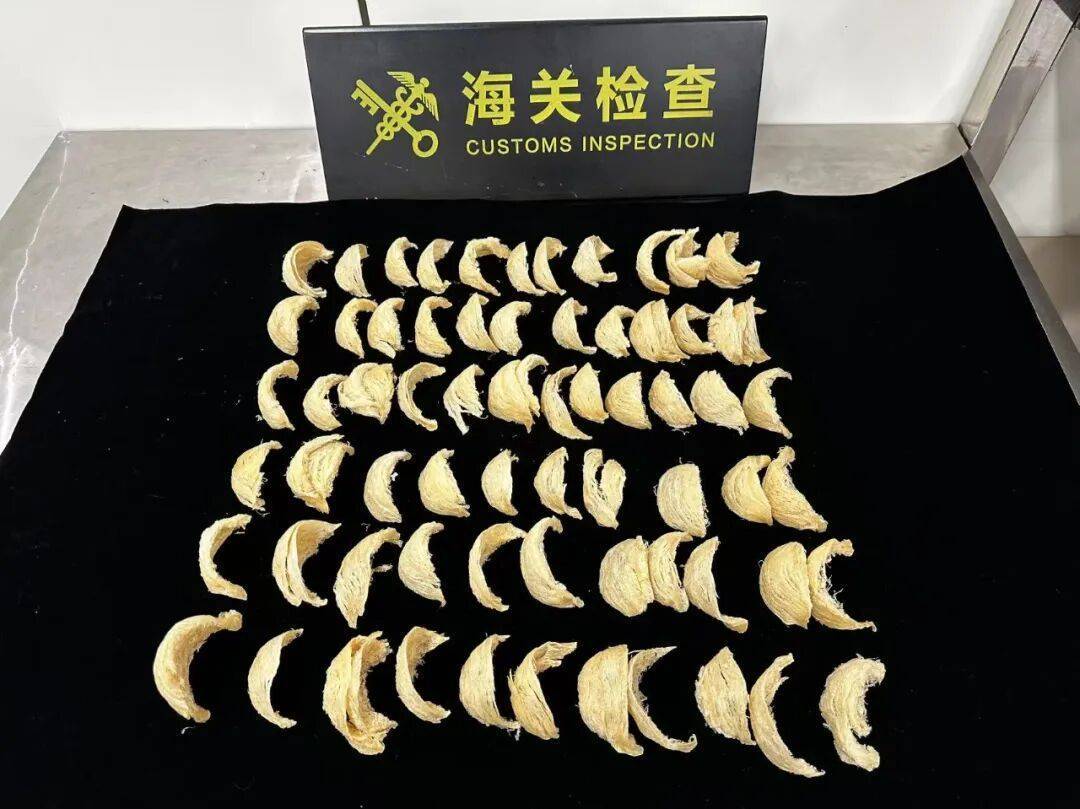 皇冠信用网怎么申请_太恶心！女子被查皇冠信用网怎么申请，在打底裤内搜到了用塑料袋包裹的大量食品……