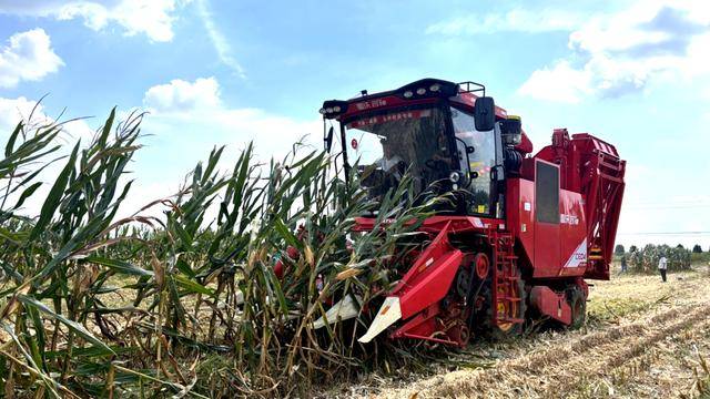 皇冠体育App下载_全国26家实验室参与皇冠体育App下载!由雷沃支持的这场“田间论剑”举行