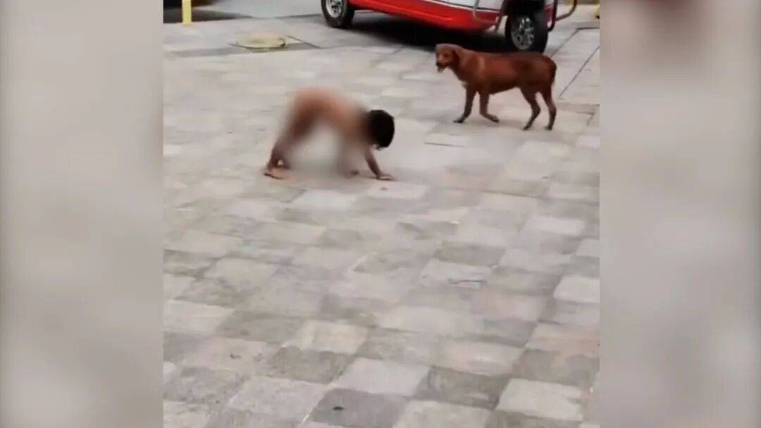 皇冠登3管理出租
_村民：“野人小孩”父亲上山“灵修”后就不正常皇冠登3管理出租
了