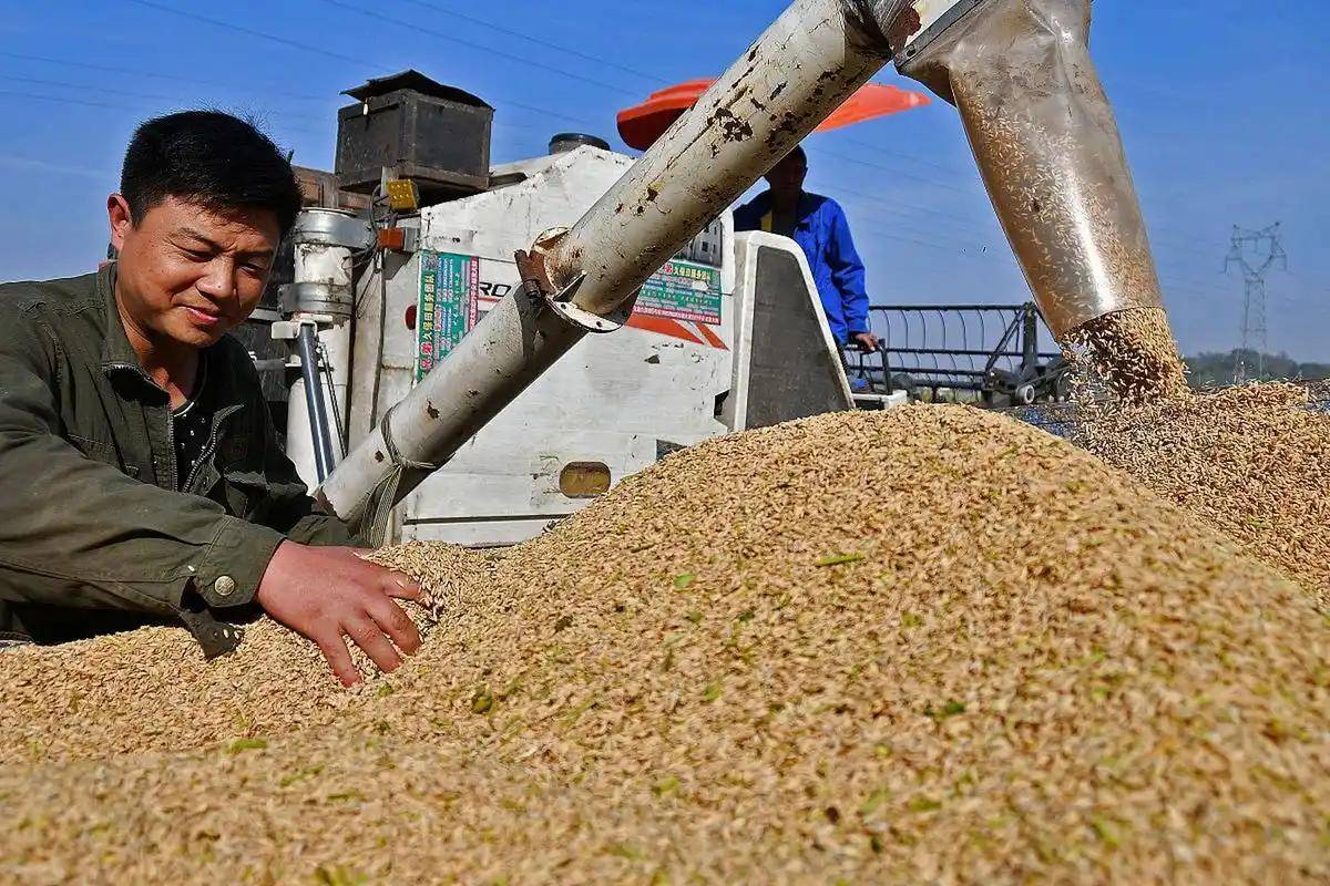 皇冠信用网代理平台
_200万吨大豆烂港！巴西主动降价皇冠信用网代理平台
，中国转头下单三船美国大豆，巴西自食其果了