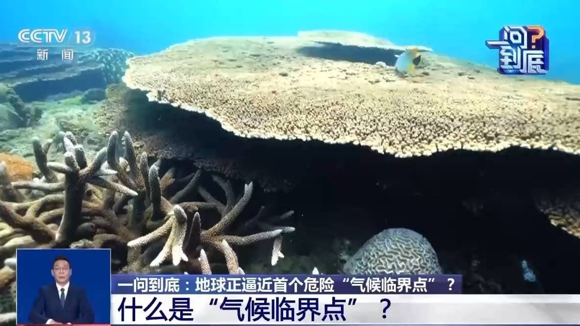 皇冠信用网怎么申请
_地球正逼近首个危险“气候临界点”皇冠信用网怎么申请
，会带来哪些影响？