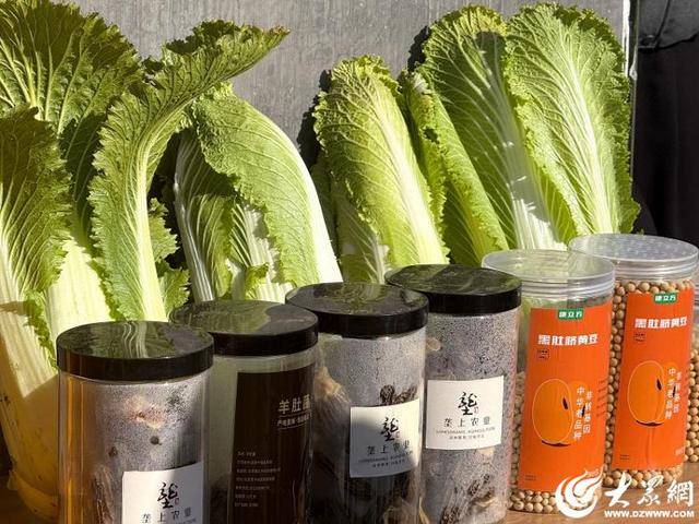 皇冠体育App下载
_山东青岛：全国首批“板蓝根白菜”喜获丰收皇冠体育App下载
，正式上市！首批10万棵已被上海采购商“包圆”