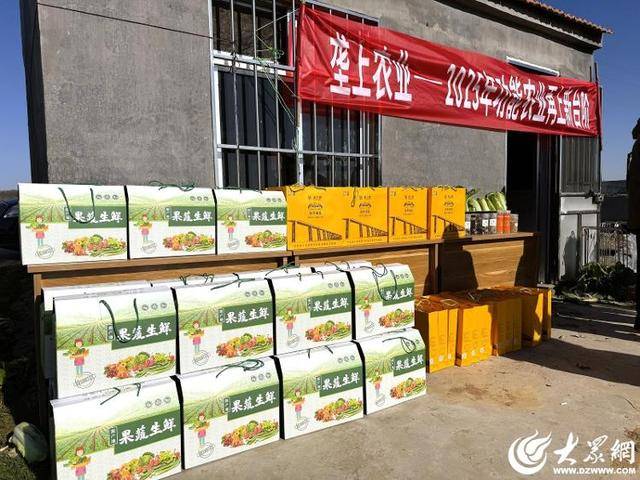 皇冠体育App下载
_山东青岛：全国首批“板蓝根白菜”喜获丰收皇冠体育App下载
，正式上市！首批10万棵已被上海采购商“包圆”