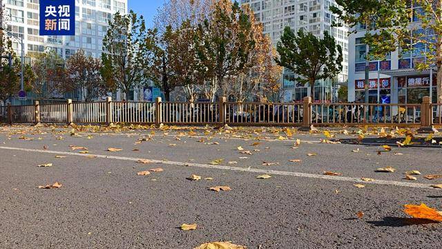 巴黎圣日耳曼_大风蓝色预警巴黎圣日耳曼！2日白天北京最高气温将跌破0℃