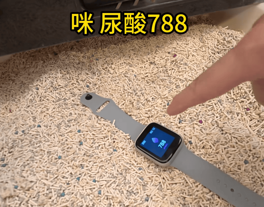 如何申请皇冠信用网_父母花84元网购“神奇手表”如何申请皇冠信用网,儿子发现能测万物:猫咪血糖5.9,吸尘器血糖7.4,父母:下次不买了