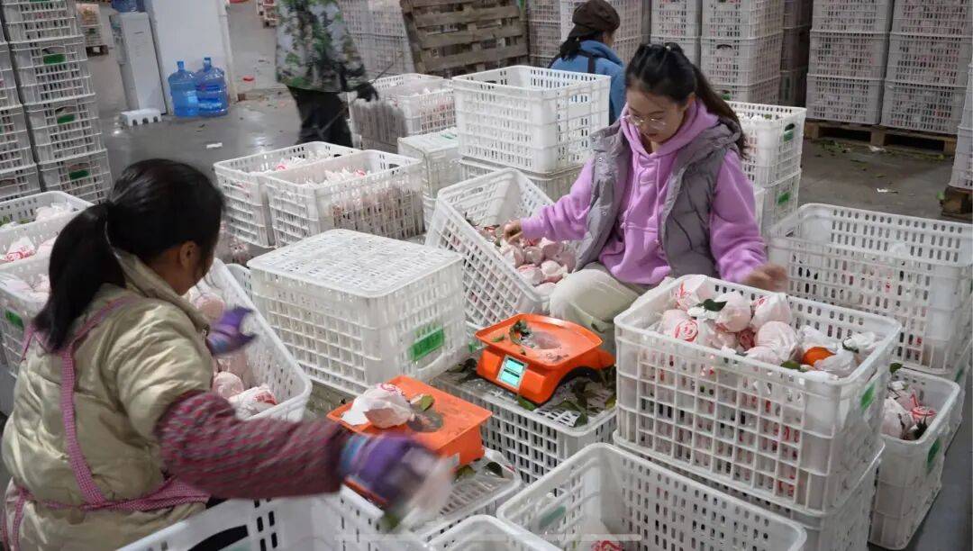 皇冠会员如何申请_考研失败、工作失业皇冠会员如何申请,95后情侣回成都换赛道火了,全网追着买!她说:不是爽文逆袭