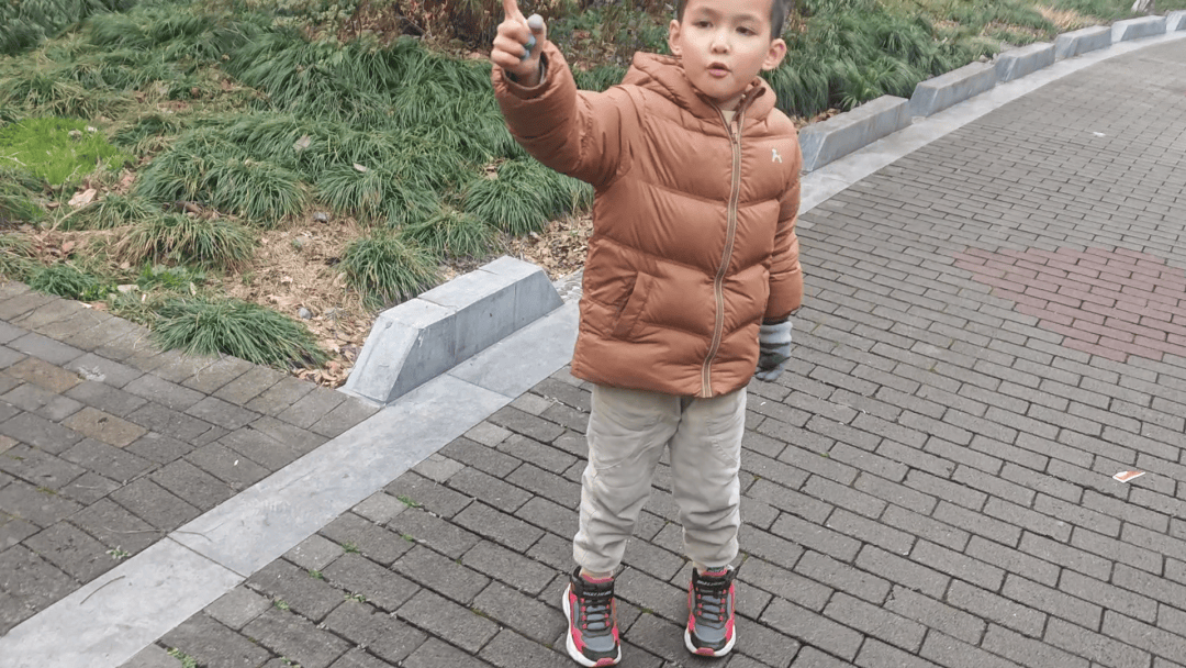 新2网址_宁波一小区内树木起火新2网址,7岁男孩发现后立刻用电话手表报警通知消防员灭火