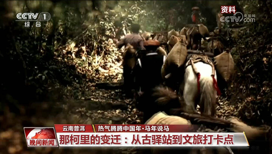 皇冠信用网会员_马年说马｜从马背到铁轨 茶马古道迎新生